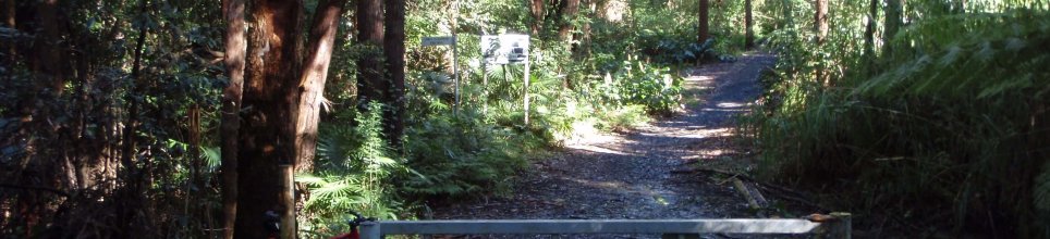 The second gate on the Illawarra Escarpment Trail, near Bulli Pass hairpin