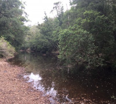 The creek at Toorooroo, Moreton National Park.