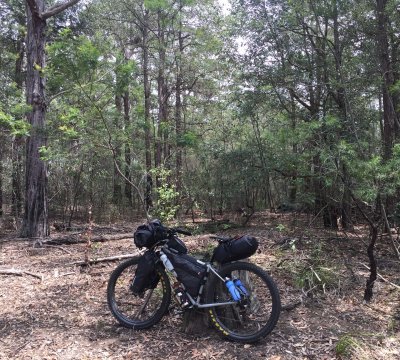 Nice place to stop for a break. Somwehere between Yalwal and Braidwood Rd on Yarramunmun Firetrail.