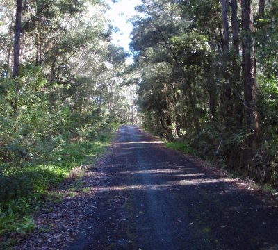 The road into the old Corrimal Colliery site.