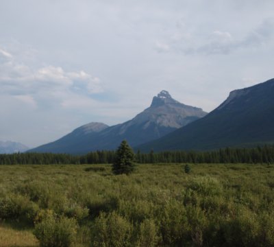 a nice late-afternoon view. Rocky Mountains (outside Banff)